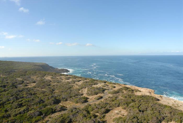Cape Nelson Lighthouse Villa Portland Bagian luar foto